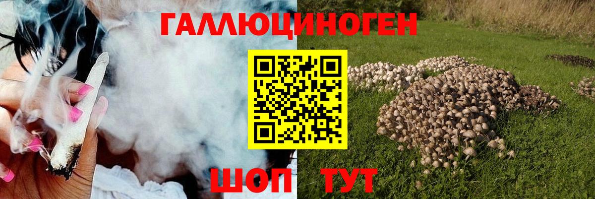 Чебоксары  Псилоцибиновые грибы Magic Shrooms  Вход с VPN 